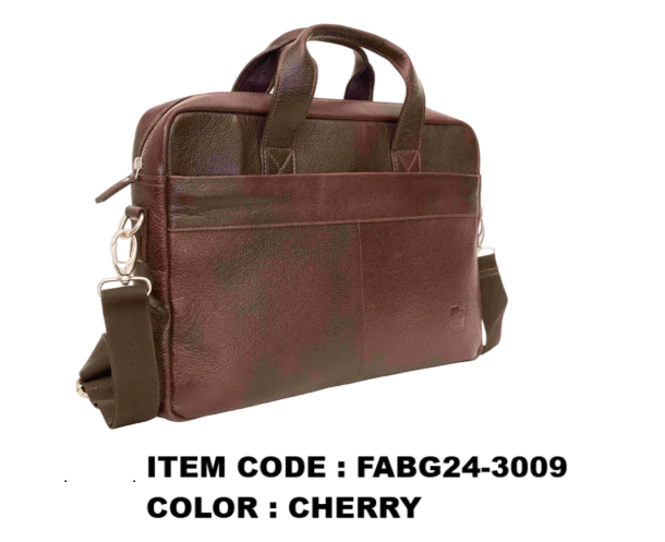 FABG24-3009