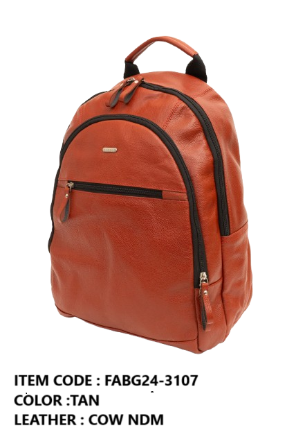 FABG24-3107-