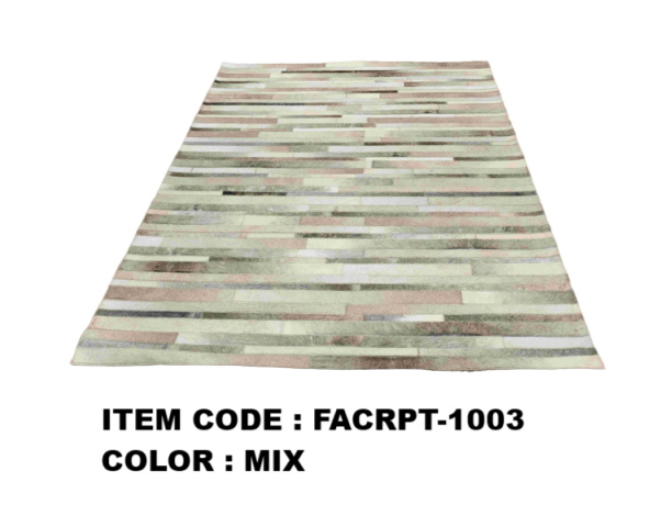 FACRPT24-1003_